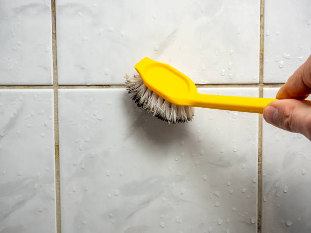 Best Mold Remediation  in Boca Raton, FL